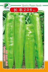 长丰206————尖椒类