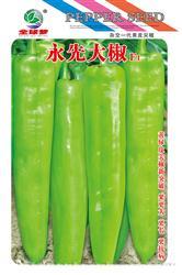 永先大椒————尖椒类