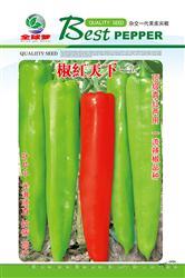 椒红天下————尖椒类