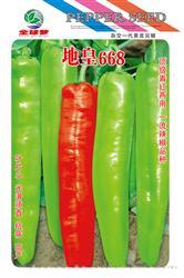 地皇668————尖椒类