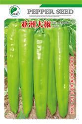 亚洲大椒————尖椒类