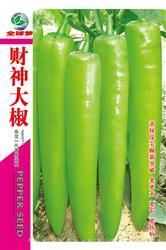 财神大椒————尖椒类