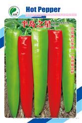 半岛之星————尖椒类