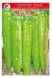 财富大椒————尖椒类