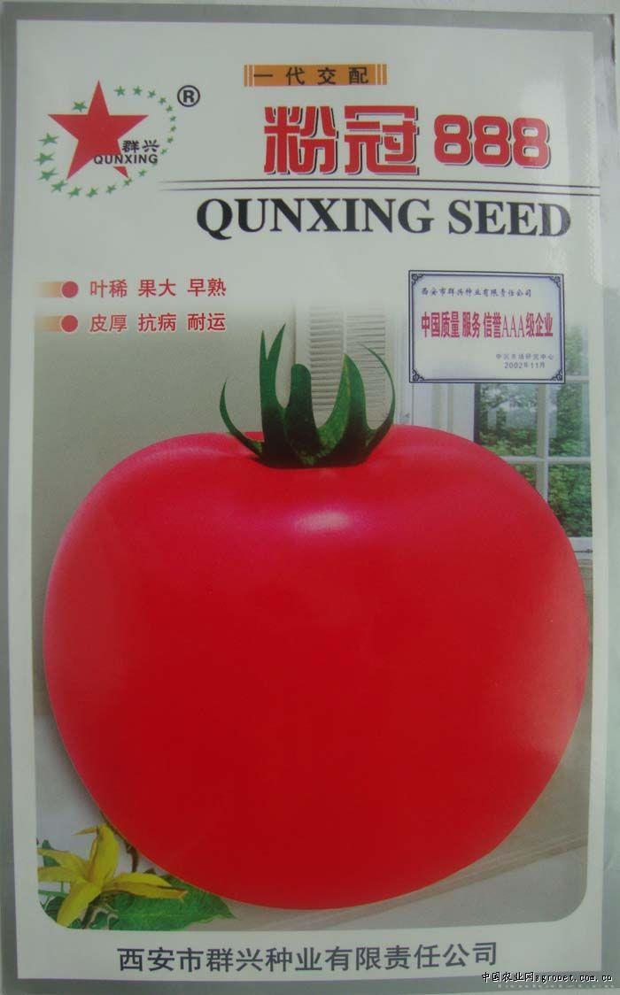 粉冠888F1—番茄种子
