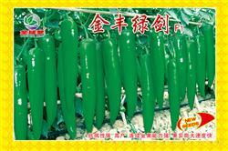 金丰绿剑————尖椒类
