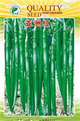 亚洲红————线椒类