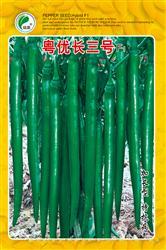 粤优长三号————线椒类