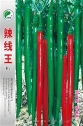 辣线王————线椒类