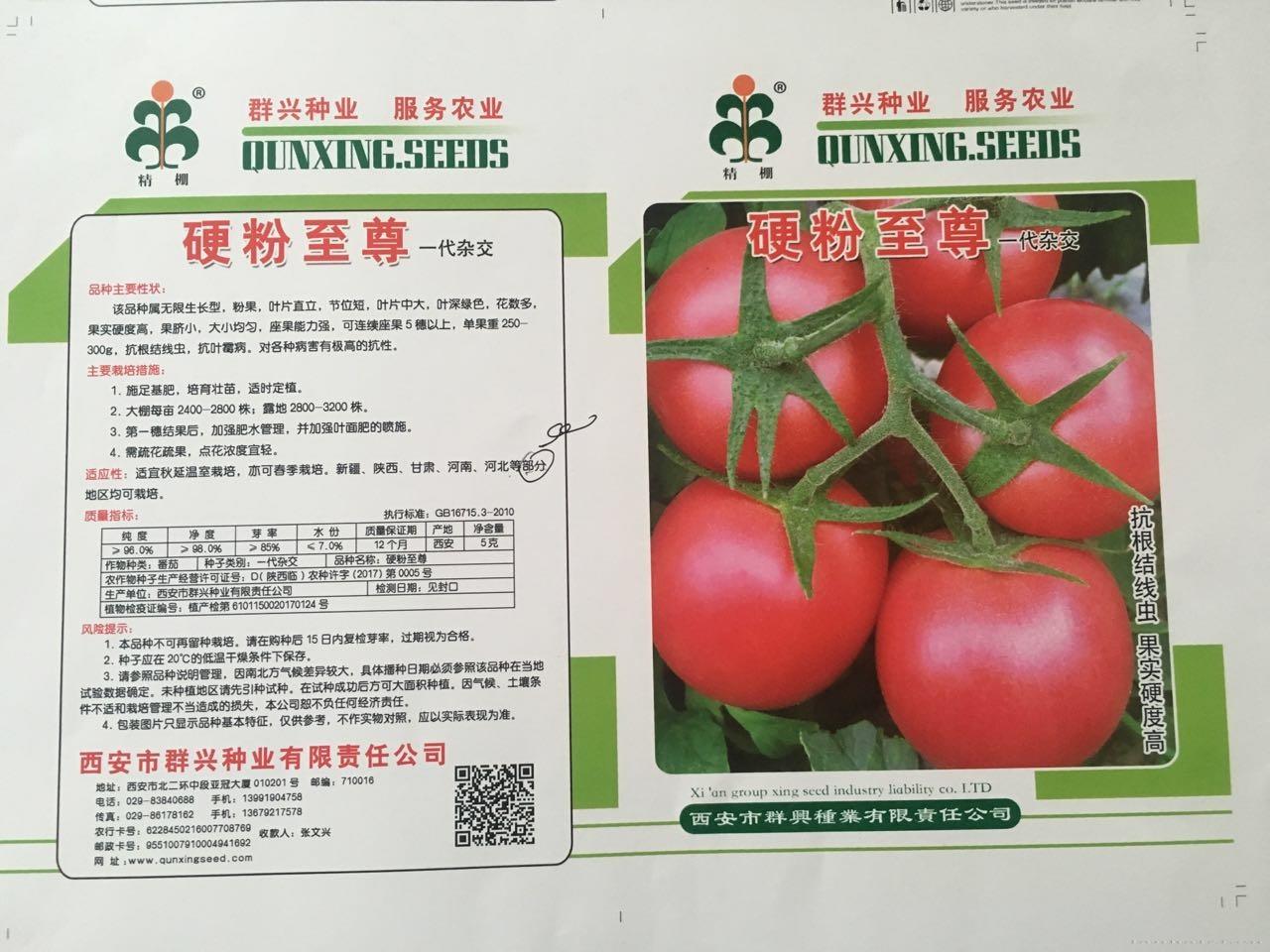 硬粉至尊