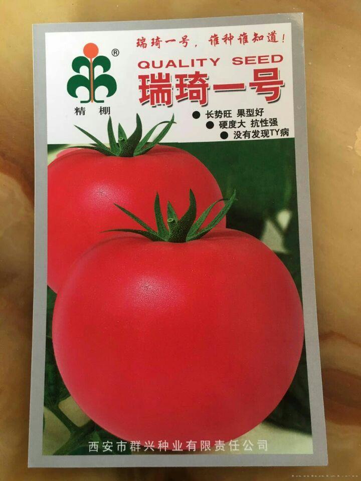 瑞琦一号——番茄种子