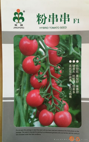 粉串串-番茄种子