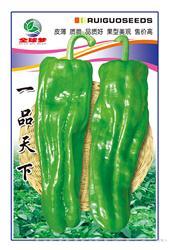 一品天下————泡椒类