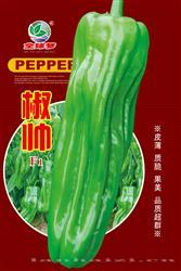 椒帅————泡椒类