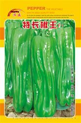 特长椒王————泡椒类