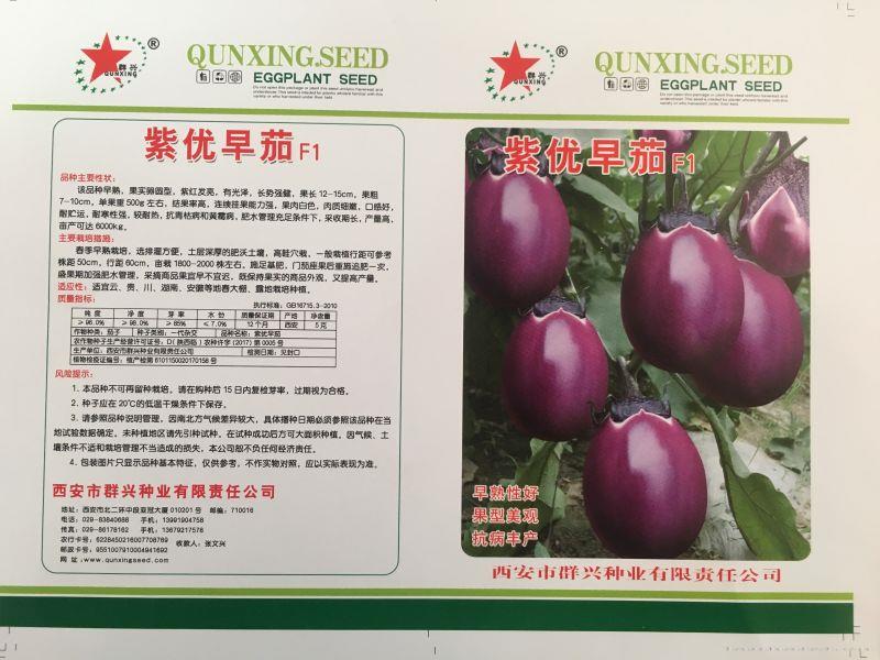 紫优早茄