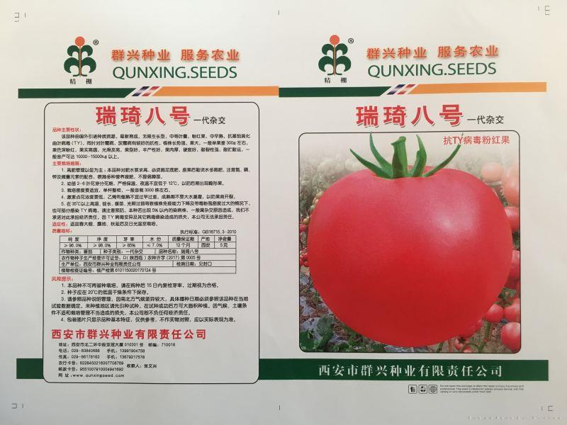 瑞奇八号