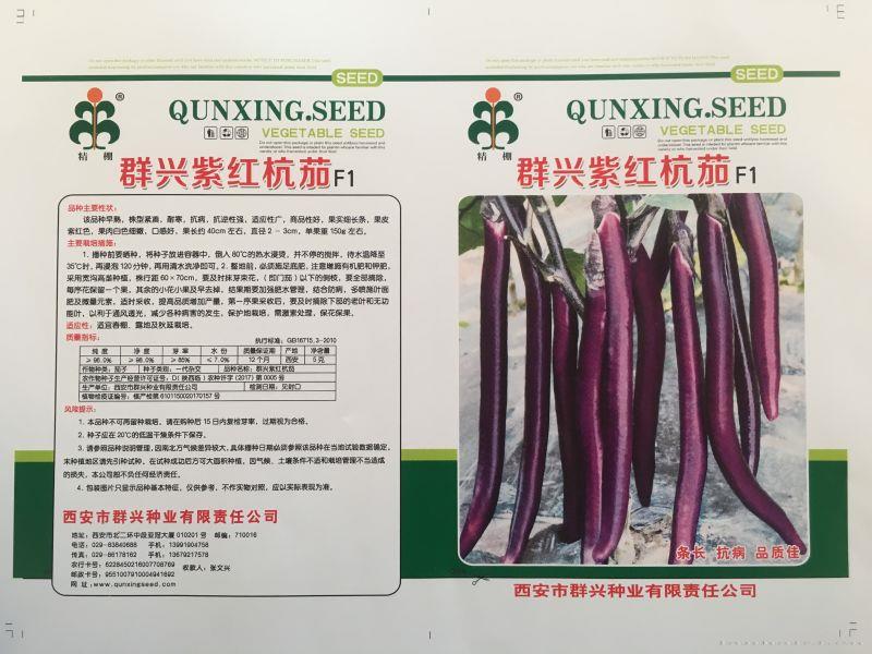 群兴紫红杭茄