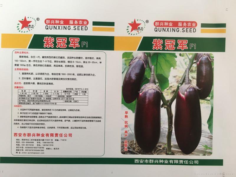 紫冠军