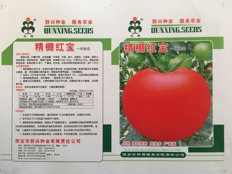 精棚红宝