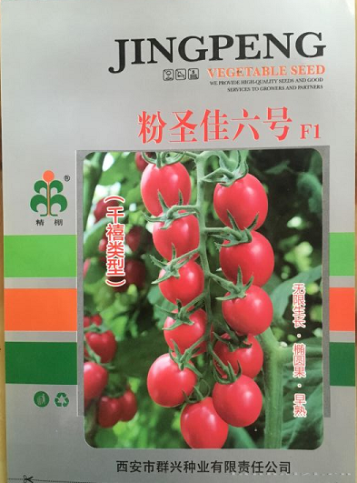 粉圣佳六号