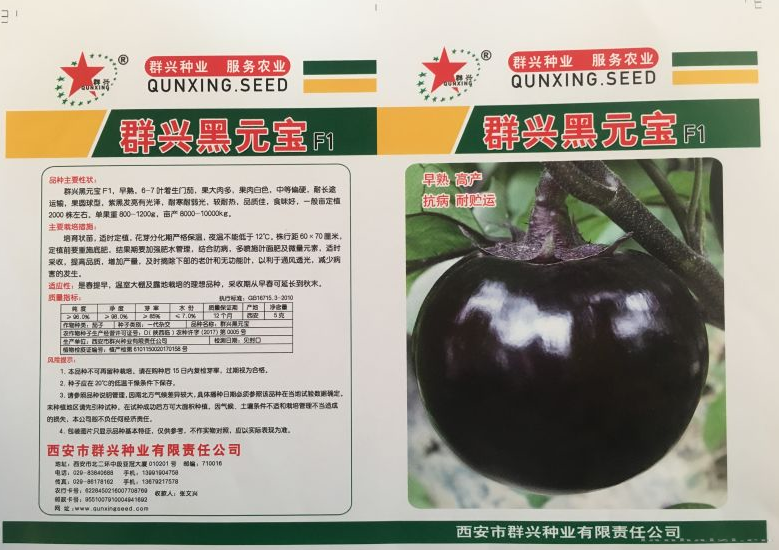群兴黑元宝