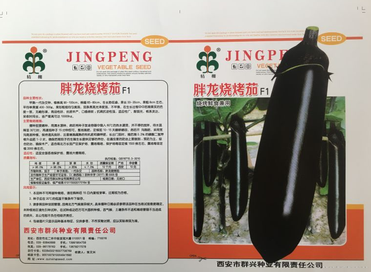 胖龙烧烤茄