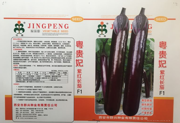 粤贵妃紫红长茄