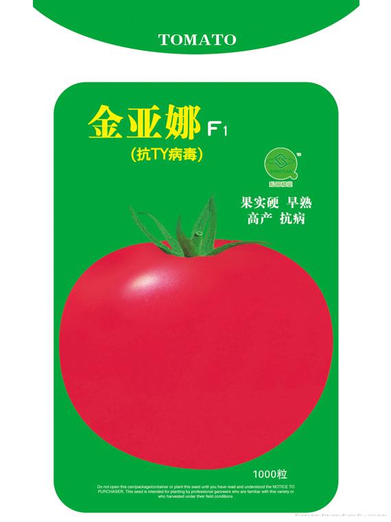 金亚娜