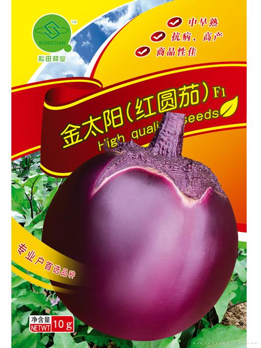 金太阳红圆茄