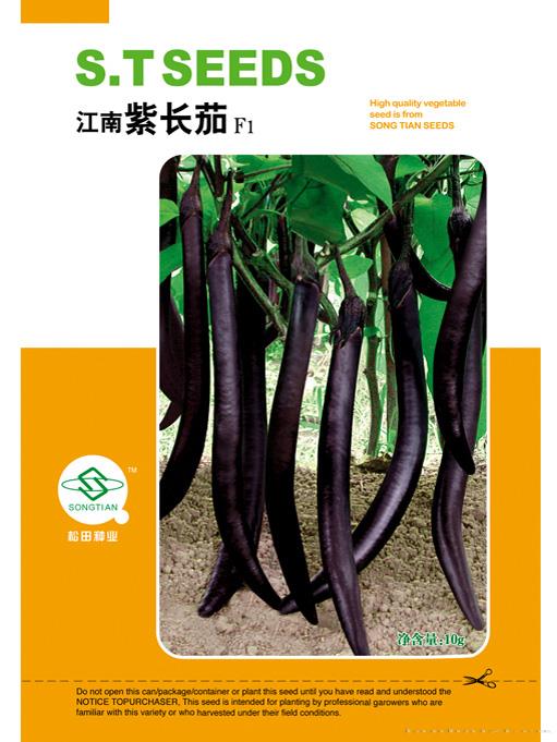 江南紫长茄