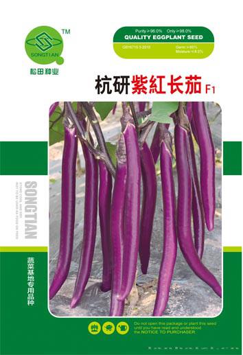 杭研紫红长茄