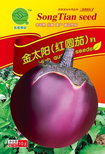金太阳红圆茄