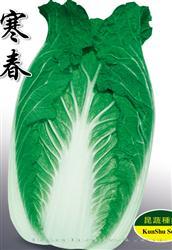 寒春 —— 春秋炮弹型