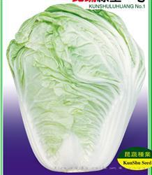 绿皇一号 —— 夏白菜