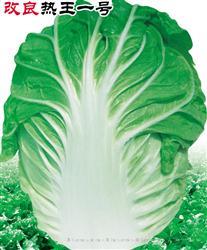 改良热王一号 —— 夏白菜
