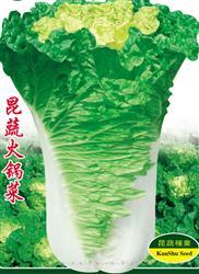 昆蔬火锅菜 —— 夏白菜