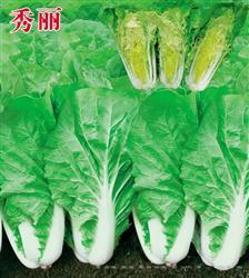 秀丽 —— 快菜