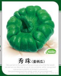 秀珠 —— 姜柄瓜