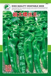 超大螺丝王————螺丝椒类