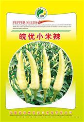 皖优小米椒————朝天椒类