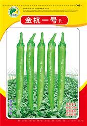 金杭一号————朝天椒类