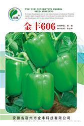 金丰606————甜椒类