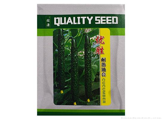 黄瓜种子