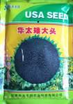 甘肃华太丰田农业科技有限公司