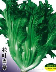花叶青菜 —— 青菜类种子
