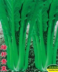 绿杆青菜 —— 青菜类种子