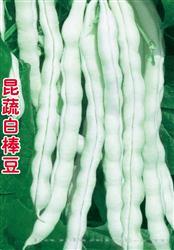 昆蔬白棒豆 —— 豆类种子