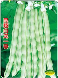 白龙一号 —— 豆类种子