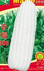 香糯306 —— 甜糯玉米类种子